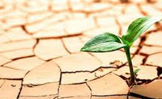 Climate Change Is Real! What Should Farmers Be Doing To Produce Sufficient Food?