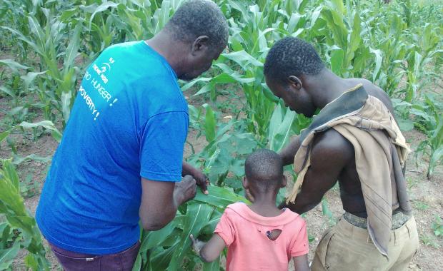 Why Do Farmers Need The Service Of An Extension Officer?